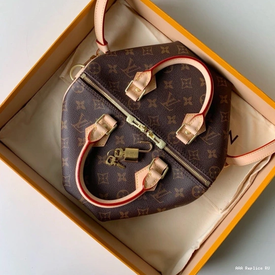 Aaa replica bags Louis SPEEDY Vuitton 25 BANDOULIERE 0821
